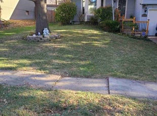 Leaf Removal by Nate Lawrence for Gerald . in Liberty, MO