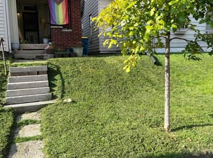 Lou G.'s Lawn Service service result