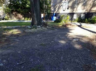 Cleanups by Roland Reyes for Isiah D. in Chicago, IL
