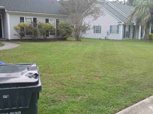 Andre H.'s Lawn Mowing service result