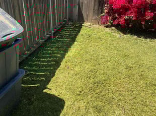 Chantel C.'s Lawn Care service result