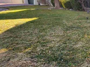 Cleanups by Lamont Johnson for Audrey A. in Las Vegas, NV