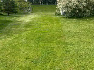 Debra B.'s Lawn Care service result