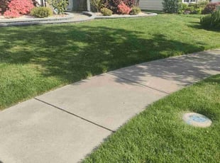 Tom K.'s Lawn Maintenance service result