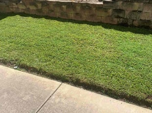 Terri K.'s Lawn Maintenance service result
