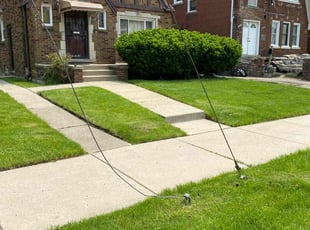 Telisha B.'s Lawn Mowing Service service result