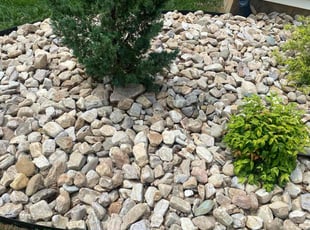 Weeding by Dimitruis Casey for Robbye P. in Roanoke, VA