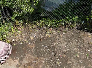 Cleanups by Mike Davis for Damsel S. in Tacoma, WA