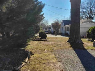 Leaf Removal by Mike Williams for Alexandra M. in Richmond, VA