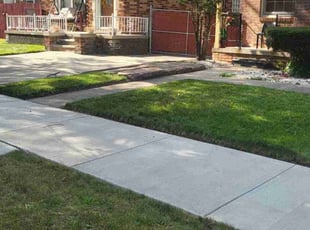 Luminita L.'s Lawn Service service result