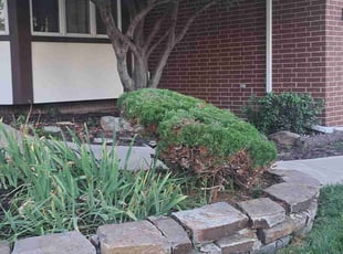Bush Trimming by William Beacham for Patrick R. in Wichita, KS