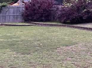 Cleanups by Terrance Robinson for Shaneika H. in Chicopee, MA