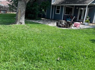 Montu P.'s Lawn Mowing Service service result