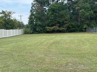 rita d.'s Lawn Maintenance service result