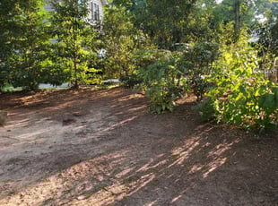 Leaf Removal by Tyrone Woodberry for Monique P. in Snellville, GA