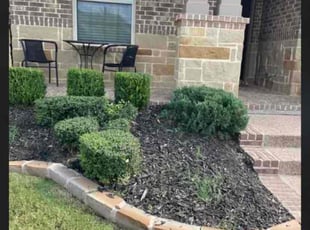 Bush Trimming by Severa Rosie Lara for Laura F. in Euless, TX