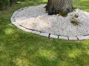 Weeding by Kenneth Mccarthy for Wanda R. in East Hartford, CT