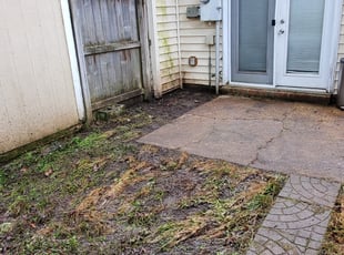 Cleanups by William Mende for Alisha E. in Virginia Beach, VA