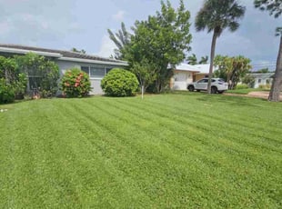 Jhims K.'s Grass Cutting service result