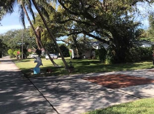 Jim S.'s Lawn Mowing service result