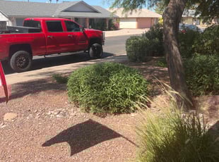 Leaf Removal by Jonathan Bell for Robert S. in Mesa, AZ