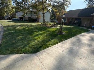 Judy M.'s Yard Cutting service result