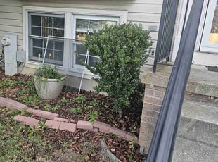 Bush Trimming by Yobani Benitez for Anthony M. in Odenton, MD