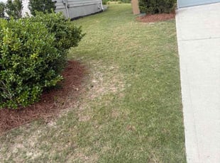 Weeding by Marcelo Tellez for Justin r. in Flowery Branch, GA