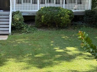 Bush Trimming by Travis Hoggard for Shaneik J. in Kennesaw, GA