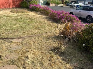 Bush Trimming by issac Freytes for Chaofang X. in South San Francisco, CA