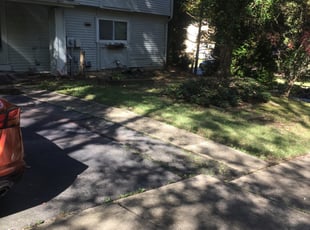 Leaf Removal by Ayinde Hawkins for Marini R. in Upper Marlboro, MD