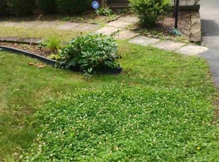 Cleanups by Jami Hughes for Marcus H. in Pittsburgh, PA