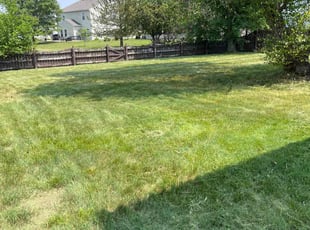 Leaf Removal by Tom Chilson for Ms. S. in Fishers, IN