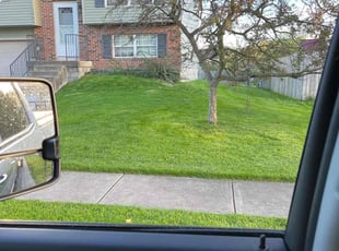 Michele A.'s Lawn Maintenance service result