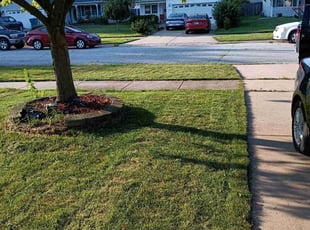 Justin K.'s Lawn Care service result