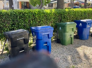 Bush Trimming by Alexander Stevenson for Charlie W. in Los Angeles, CA