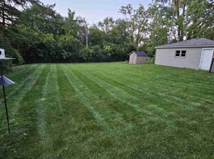 Latoya M.'s Lawn Mowing service result