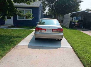 Christen W.'s Yard Cutting service result