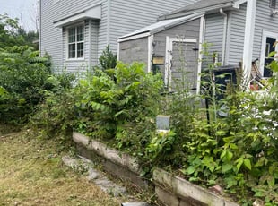 Cleanups by Christopher Noel for Marcus M. in Akron, OH