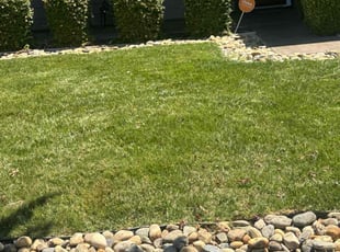 James H.'s Yard Cutting service result