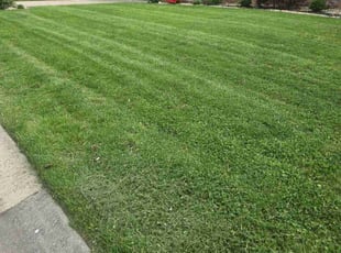 Leaf Removal by Jeffrey Bowers for Delores w. in Godfrey, IL