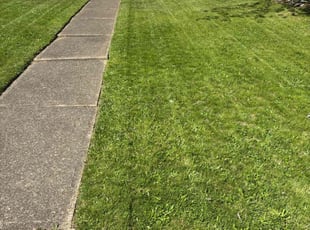 Eric K.'s Lawn Care service result