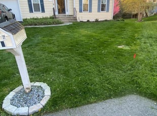 Bryan W.'s Lawn Service service result