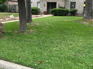 Maryke E.'s Lawn Service service result