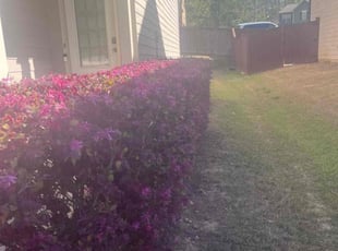 Bush Trimming by Michael Marshall for Nehemie S. in Loganville, GA