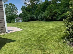Josh C.'s Lawn Maintenance service result