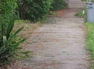 Bush Trimming by Thomas Farley for Joanne B. in Sarasota, FL