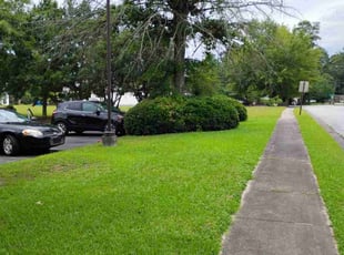 Jesse V.'s Lawn Service service result