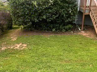 Bush Trimming by Ross Stevens for Benjamin M. in Canton, GA