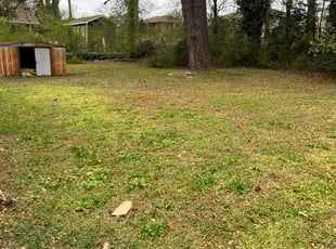 Leaf Removal by Drake Owens for Christopher G. in Decatur, GA